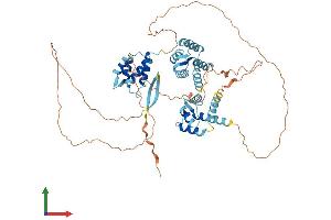 AlphaFold protein structure predicition of Human Recombinant C1orf87 Protein, UniprotID Q8N0U7 (C1orf87 Protein (AA 1-546) (His tag))
