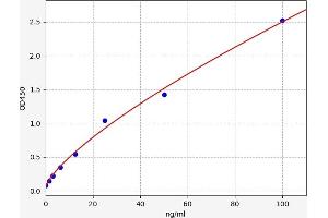 Transferrin (TF) ELISA Kit