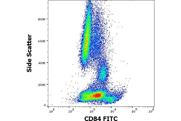 CD84 antibody  (FITC)