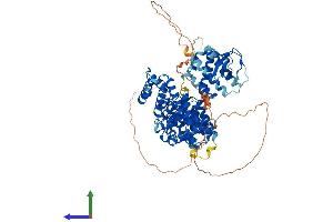 AlphaFold protein structure predicition of Mouse Recombinant Nckipsd Protein, UniprotID Q9ESJ4 (NCKIPSD Protein (AA 1-714) (His tag))