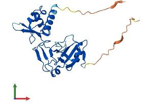 AlphaFold protein structure predicition of Mouse Recombinant Trpt1 Protein, UniprotID Q8K3A2 (TRPT1 Protein (AA 1-249) (His tag))