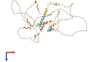 AlphaFold protein structure predicition of Human Recombinant C9orf50 Protein, UniprotID Q5SZB4