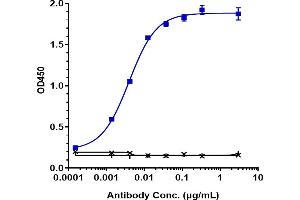 Immobilized human VEGFC His at 2 μg/mL can bind Anti-VEGFC Reference Antibody (VGX100), EC50=0.