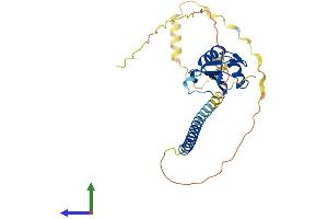AlphaFold protein structure predicition of Human Recombinant RALYL Protein, UniprotID Q86SE5 (RALYL Protein (AA 1-291) (His tag))