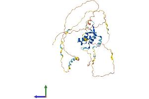 AlphaFold protein structure predicition of Mouse Recombinant Foxl2 Protein, UniprotID O88470 (FOXL2 Protein (AA 1-375) (His tag))