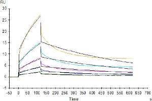 Surface Plasmon Resonance (SPR) image for CD47 (CD47) (AA 19-139) protein (Fc Tag) (ABIN7274225)