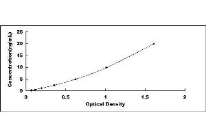 Typical standard curve (CYP3A4 ELISA Kit)