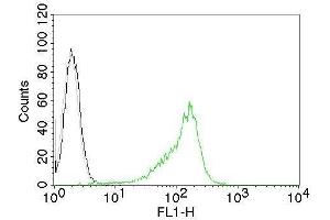Flow Cytometric Analysis of human Nucleolin on 293T cells. (Nucleolin antibody  (CF®488A))