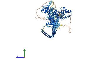 AlphaFold protein structure predicition of Mouse Recombinant Acap1 Protein, UniprotID Q8K2H4 (ACAP1 Protein (AA 1-740) (His tag))