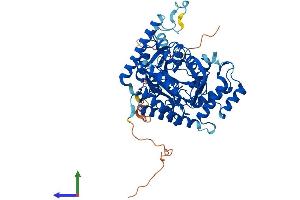 AlphaFold protein structure predicition of Mouse Recombinant Sptlc3 Protein, UniprotID Q8BG54 (SPTLC3 Protein (AA 1-563) (His tag))