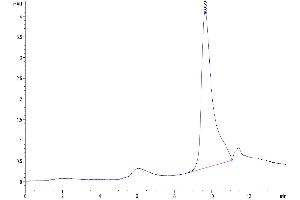 The purity of Mouse CXCL13 is greater than 95 % as determined by SEC-HPLC. (CXCL13 Protein (AA 22-109) (His tag))