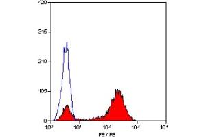 Staining of human peripheral blood lymphocytes with MOUSE ANTI HUMAN CD2:RPE (ABIN119504). (CD2 antibody  (PE))