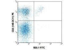 Flow Cytometry (FACS) image for anti-V alpha 2 TCR antibody (FITC) (ABIN2662011) (V alpha 2 TCR antibody (FITC))