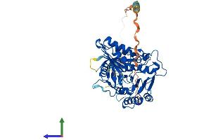 Protein Structure (PS) image for Phospholipase D4 (PLD4) (AA 1-506) protein (His tag) (ABIN7550806)