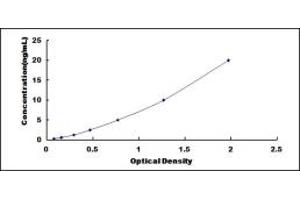 Typical standard curve (Aryl Hydrocarbon Receptor ELISA Kit)