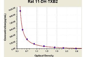 Diagramm of the ELISA kit to detect Rat 11-DH-TXB2with the optical density on the x-axis and the concentration on the y-axis. (11-DH-TXB2 ELISA Kit)