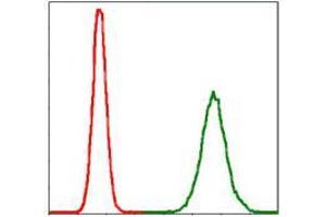 Flow cytometric analysis of MCF-7 cells using PPP2R4 mouse mAb (green) and negative control (red). (PPP2R4 antibody)