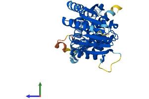 AlphaFold protein structure predicition of Human Recombinant FAM86B2 Protein, UniprotID P0C5J1 (FAM86B2 Protein (AA 1-330) (His tag))