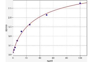 Carbonic Anhydrase II (CA2) ELISA Kit