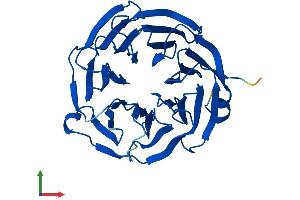 Protein Structure (PS) image for WD Repeat Domain 82 (WDR82) (AA 1-313) protein (His tag) (ABIN7545092)