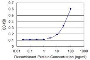 Detection limit for recombinant GST tagged TXNDC4 is 1 ng/ml as a capture antibody. (ERP44 antibody  (AA 30-406))