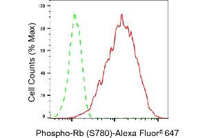 Flow cytometric analysis of Phospho-Rb (S780) expression in HAP-1 cells using Phospho-Rb (S780) antibody (ABIN7800187), 1:2,000). (Recombinant Retinoblastoma Protein (Rb) antibody  (pSer780))