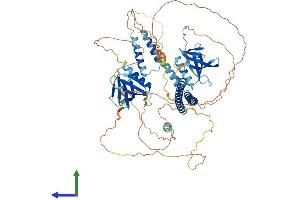 Protein Structure (PS) image for Actin Filament Associated Protein 1 (AFAP1) (AA 1-730) protein (His tag) (ABIN7551931)