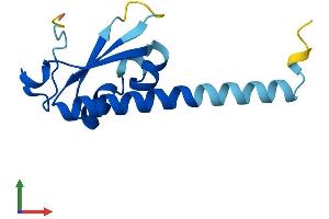 AlphaFold protein structure predicition of Mouse Recombinant Dppa5a Protein, UniprotID Q9CQS7 (DPPA5A Protein (AA 1-118) (His tag))