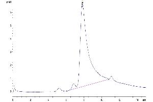 The purity of Human LIGHT is greater than 95 % as determined by SEC-HPLC. (TNFSF14 Protein (AA 74-240) (His tag))