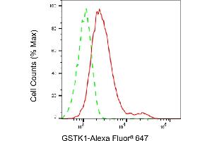 Flow cytometric analysis of GSTK1 expression in HepG2 cells using GSTK1 antibody (ABIN7798755), 1:1,000).