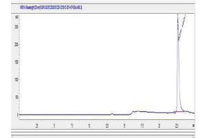 Angiotensinogen (serpin Peptidase Inhibitor, Clade A, Member 8) (AGT) (AA 34-43) peptide (Ovalbumin)