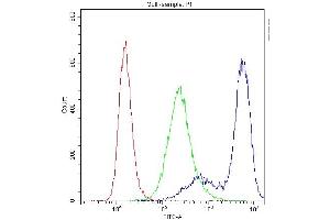 Flow Cytometry analysis of U251 cells using anti-PPP1R12A antibody (ABIN3043902). (PPP1R12A antibody  (N-Term))