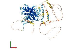 AlphaFold protein structure predicition of Human Recombinant SLC9A4 Protein, UniprotID Q6AI14