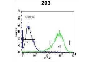 Flow Cytometry (FACS) image for anti-Inositol-Trisphosphate 3-Kinase B (ITPKB) antibody (ABIN3003734) (ITPKB antibody)