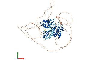 AlphaFold protein structure predicition of Mouse Recombinant Mark4 Protein, UniprotID Q8CIP4
