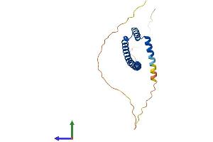 Protein Structure (PS) image for Amino-terminal Enhancer of Split (AES) (AA 1-197) protein (His tag) (ABIN7556631)