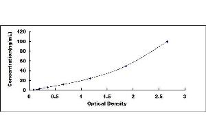 Typical standard curve (CKM ELISA Kit)