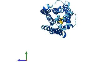 AlphaFold protein structure predicition of Human Recombinant ELOVL3 Protein, UniprotID Q9HB03 (ELOVL3 Protein (AA 1-270) (His tag))