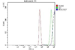 Flow Cytometry analysis of U251 cells using anti-IFI16 antibody (ABIN7600373). (IFI16 antibody  (AA 183-743))