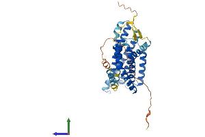 AlphaFold protein structure predicition of Mouse Recombinant Gpr4 Protein, UniprotID Q8BUD0