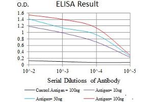 Image no. 6 for anti-ATP Citrate Lyase (ACLY) antibody (ABIN1491378) (ACLY antibody)