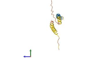 AlphaFold protein structure predicition of Human Recombinant RPRM Protein, UniprotID Q9NS64 (Reprimo Protein (RPRM) (AA 1-109) (His tag))