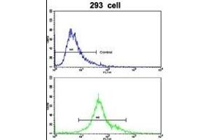 Flow cytometric analysis of 293 cells using EMILIN1 Antibody (N-term)(bottom histogram) compared to a negative control cell (top histogram). (Emilin1 antibody  (N-Term))