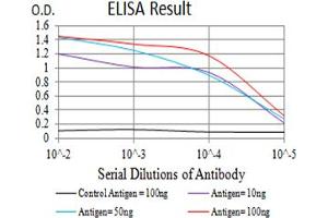 Black line: Control Antigen (100 ng),Purple line: Antigen (10 ng), Blue line: Antigen (50 ng), Red line:Antigen (100 ng) (BATF antibody  (AA 1-126))