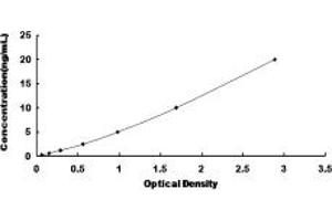 Typical standard curve (MAP4 ELISA Kit)