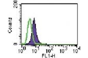Image no. 1 for anti-Toll-Like Receptor 6 (TLR6) (AA 408-424) antibody (ABIN208047) (TLR6 antibody  (AA 408-424))