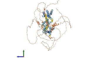AlphaFold protein structure predicition of Mouse Recombinant Kcnq3 Protein, UniprotID Q8K3F6