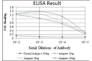 Red: Control Antigen (100 ng), Purple: Antigen (10 ng), Green: Antigen (50 ng), Blue: Antigen (100 ng), (MAPK6 antibody)