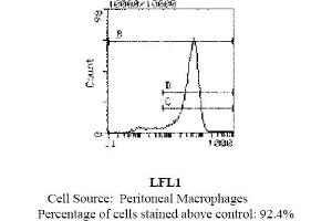 Mouse anti OX-43 Antigen OX-43 (Endothelium antibody (FITC))