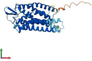 Protein Structure (PS) image for Free Fatty Acid Receptor 1 (FFAR1) (AA 1-300) protein (His tag) (ABIN7553946)